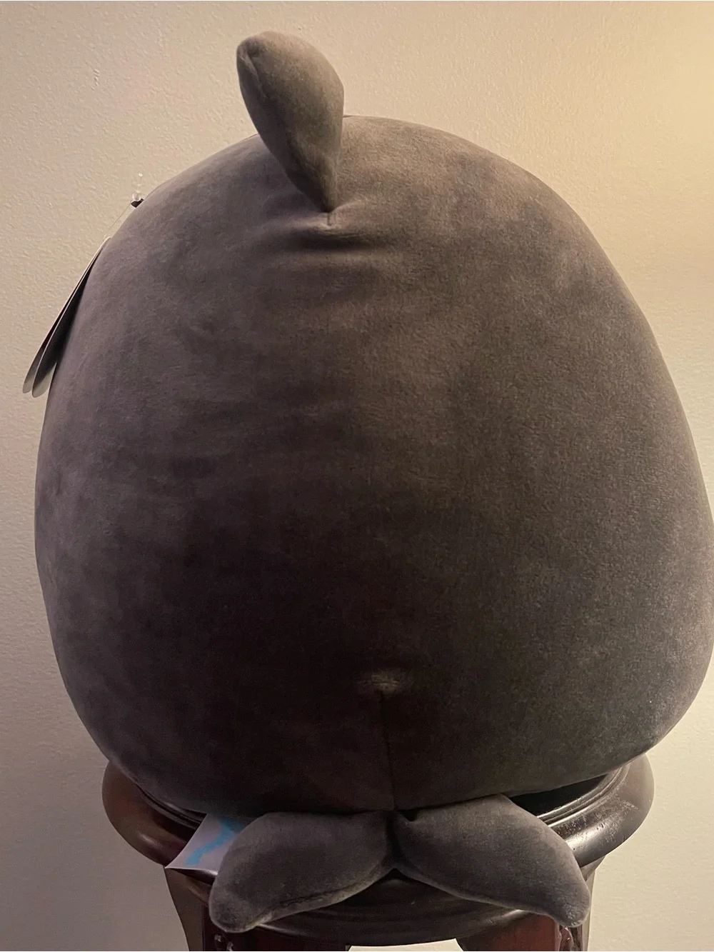 Kellytoy show your